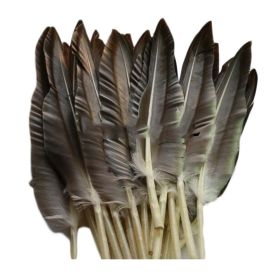 20 Pcs DIY Craft Feathers Home Wedding Decoration, 9-11 Inches
