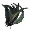 50 Pcs 7-12 inch DIY Artificial Rooster Tail Feathers for Art and Craft, Black/Dark Green