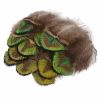 50 Pcs DIY Craft Gold/Green Artificial Peacock Feathers Home Wedding Decoration, 1-2 Inches