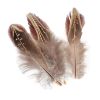 100 Pcs Brown Feathers Decorative Feathers for Arts and Crafts, 1-3 Inches