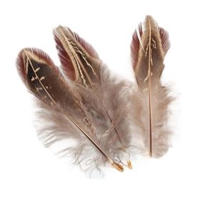 100 Pcs Brown Feathers Decorative Feathers for Arts and Crafts, 1-3 Inches