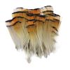 50 Pcs Golden Pheasant Feathers for DIY Craft, Jewelry Clothing Decor, 1-3 inch