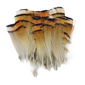 50 Pcs Golden Pheasant Feathers for DIY Craft, Jewelry Clothing Decor, 1-3 inch