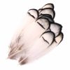 50 Pcs DIY Craft White Lady Amherst Pheasant Artificial Feathers Party Dress-ups, 2-3 inch