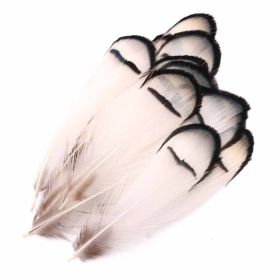 50 Pcs DIY Craft White Lady Amherst Pheasant Artificial Feathers Party Dress-ups, 2-3 inch