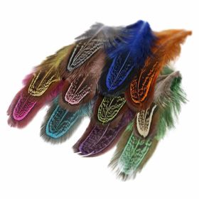200 Pcs Colorful Artificial Pheasant Feathers for DIY Earrings Jewelry Mask Craft, 1-3 inch