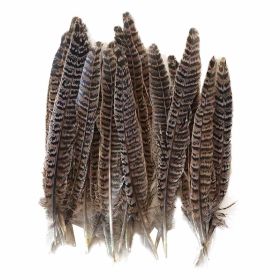 50 Pcs Brown Tail Feathers Decorative Long Artificial Pheasant Feathers for Arts and Crafts, 7-10 Inches