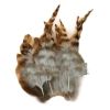 100 Pcs DIY Craft Feathers Party Dress-ups, 2-5 inch