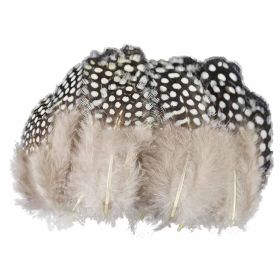200 Pcs DIY Artificial Chicken Feathers for Wind Chime Decorative Dream Catcher Crafts, 1-3 inch
