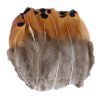 100 Pcs Brown Decorative Feathers DIY Craft Feathers, 1-3 Inches
