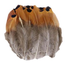 100 Pcs Brown Decorative Feathers DIY Craft Feathers, 1-3 Inches