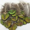50 Pcs DIY Craft Gold/Green Artificial Peacock Feathers Home Wedding Decoration, 1-2 Inches