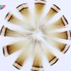 50 Pcs Golden Pheasant Feathers for DIY Craft, Jewelry Clothing Decor, 1-3 inch