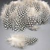 200 Pcs DIY Artificial Chicken Feathers for Wind Chime Decorative Dream Catcher Crafts, 1-3 inch