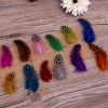 200 Pcs DIY Craft Colorful Feathers Jewelry Accessories Home Decor, 1-3 Inches