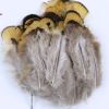 100 Pcs Yellow DIY Craft Feathers for Birthday Wedding Party Decor, 1-3 inch