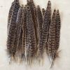 50 Pcs Brown Tail Feathers Decorative Long Artificial Pheasant Feathers for Arts and Crafts, 7-10 Inches