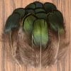 50 Pcs DIY Craft Green Artificial Pheasant Plumage Feathers Home Wedding Decoration, 1-3 Inches