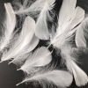 500 Pcs White Artificial Goose Feathers for Birthday Party Wedding Festival Party Decor, 2-5 inch