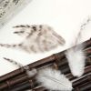 100 Pcs DIY Craft Feathers Party Dress-ups, 2-5 inch