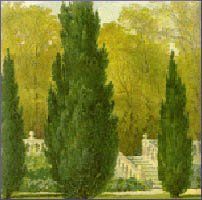 Cypress Essential Oil (size: 5)