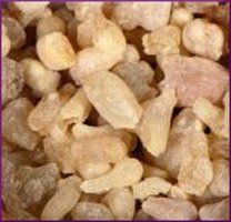 Frankincense Essential Oil (size: 0.5)