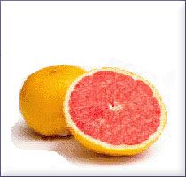 Grapefruit Essential Oil (size: 0.5)