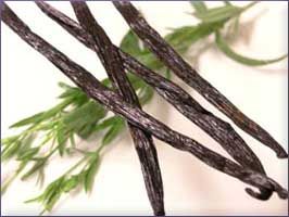 Vanilla Essential Oil (size: 1)