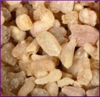 Frankincense Essential Oil (size: 4)