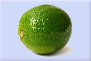 Lime Essential Oil (size: 8)