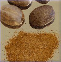 Nutmeg Essential Oil (size: 4)